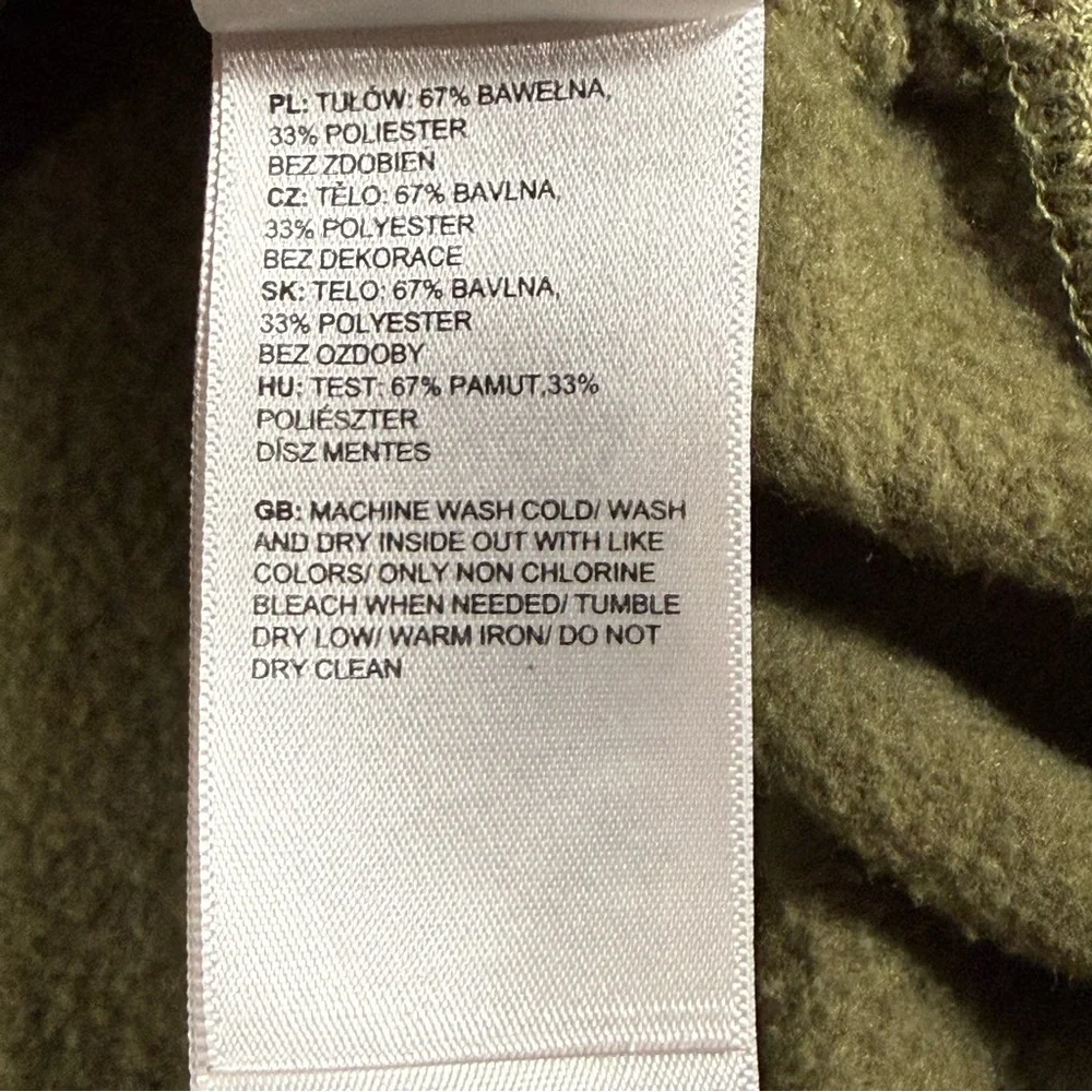 Gorpcore The North Face Olive Khaki Bear Mountain Graphic Hoodie Size‎ S Small